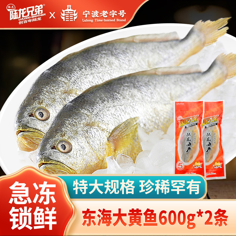 陆龙兄弟鲜冻东海大黄鱼600g/条*2 特大规格舟山海鲜水产顺丰速配