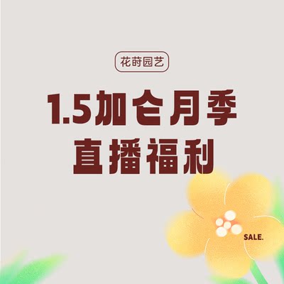 花莳园艺【1.5加仑月季花苗福利】专属链接 非偏包邮不售后特惠