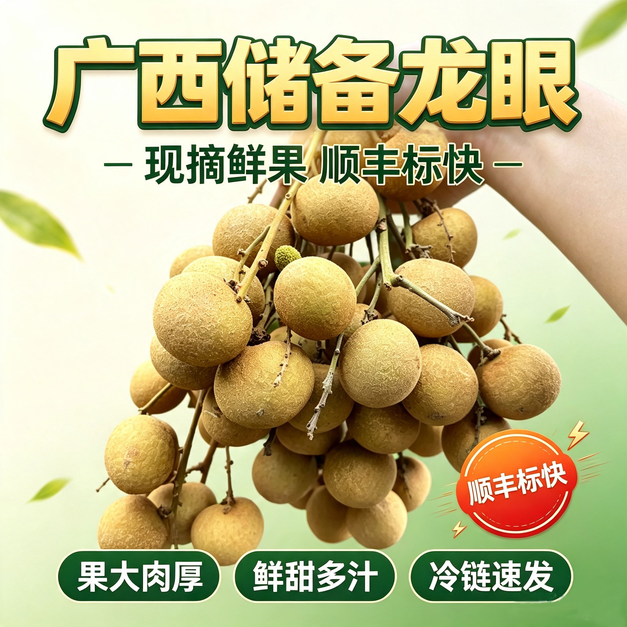广西现摘鲜甜多汁大果龙眼速发