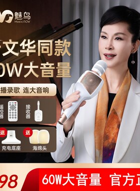 魅鸟2025豪华旗舰版K歌话筒
