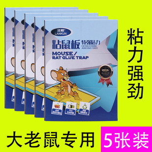 粘鼠板强力老鼠贴克星灭鼠神器厨房夹药老鼠胶笼捕鼠器家用一窝端