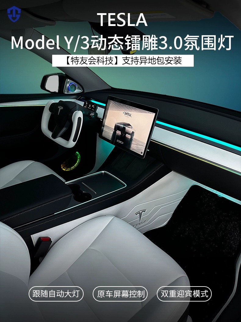 特友会镭雕氛围灯特斯拉气氛灯