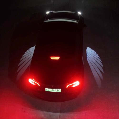 适用特斯拉天使之翼迎宾灯model3/Y天使之翼 迎宾灯 无损对插