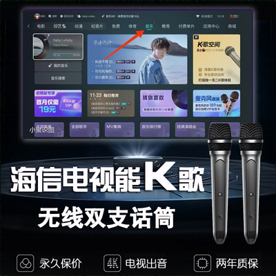 海信电视K歌话筒麦克风Hisense/旗舰款无线TCL雷鸟Vidda激光电视