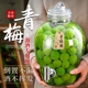泡酒玻璃瓶专用酒瓶10斤装 青梅杨梅自酿果酒空瓶食品级密封罐容器