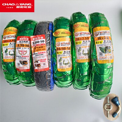 朝阳真空胎盾甲腾龙缺气可骑行