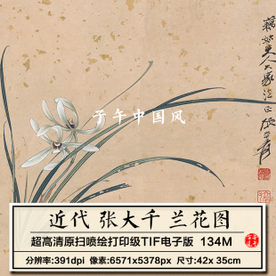 张大千兰花横幅近代装饰画打印微喷参考临摹超高清电子版图片素材