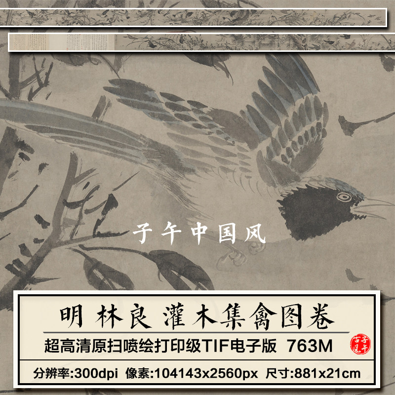 林良灌木集禽图卷明朝古代水墨百鸟图字画临摹高清电子版图片素材