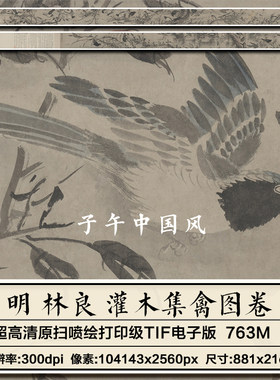 林良灌木集禽图卷明朝古代水墨百鸟图字画临摹高清电子版图片素材