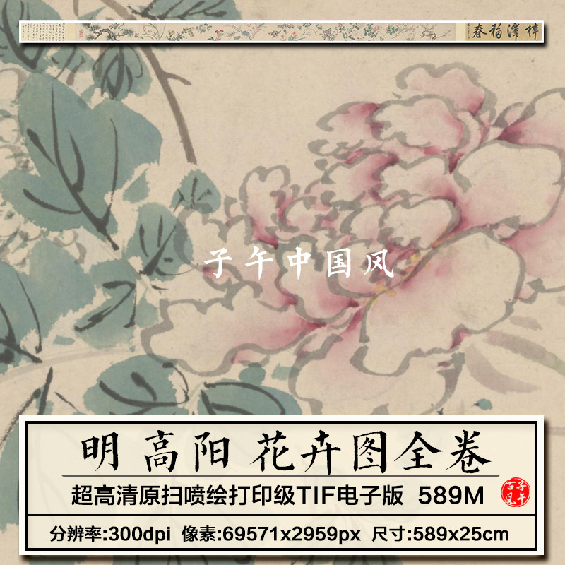 高阳花卉图卷明朝古代传统水墨绘画装饰打印临摹高清电子图片素材