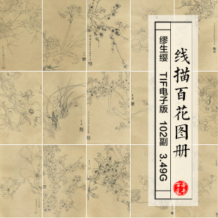 线描百花图谱画册102副白描线稿临摹打印参考 高清电子版图片素材
