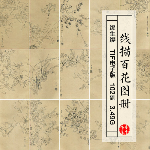 线描百花图谱画册102副白描线稿临摹打印参考 高清电子版图片素材