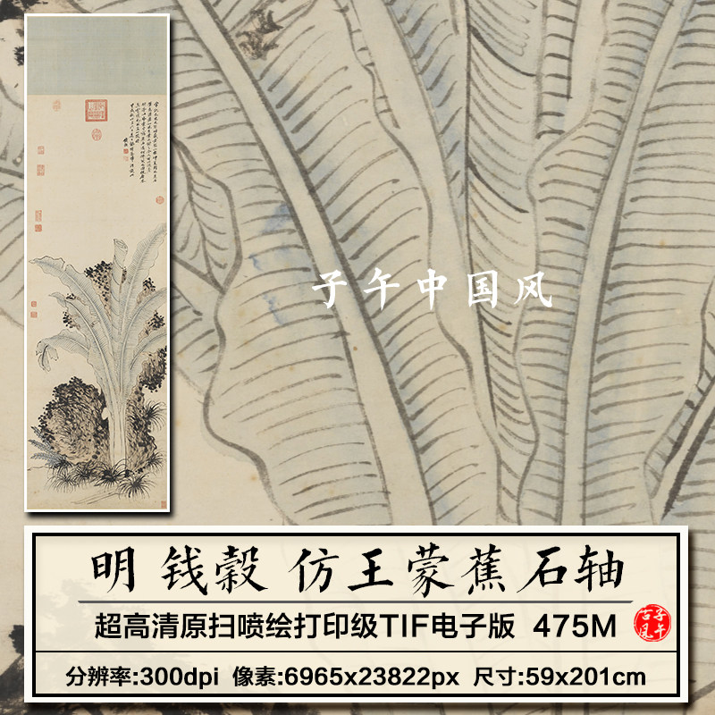 钱穀倣王蒙蕉石图轴明朝古代水墨绘画装饰打印高清电子版图片素材