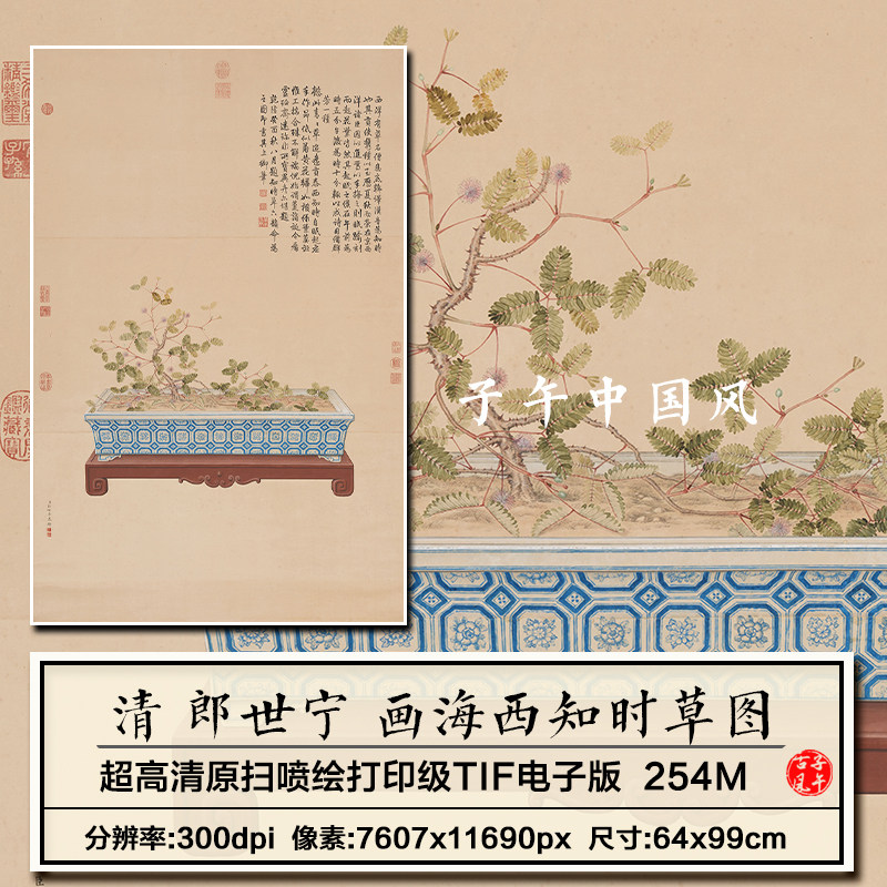 清朝郎世宁画海西知时草图盆栽绘画2023年新版高清电子版图片素材