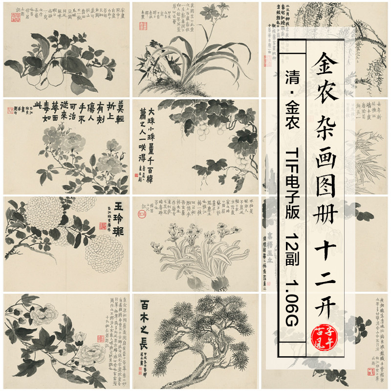 金农杂画图册页12副清朝古代水墨花卉绘画装饰高清电子版图片素材