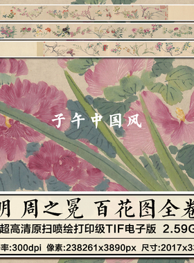 周之冕 百卉图卷 明朝古代工笔花卉国画装饰高清打印电子图片素材