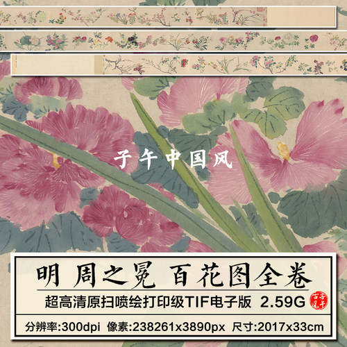 周之冕 百卉图卷 明朝古代工笔花卉国画装饰高清打印电子图片素材