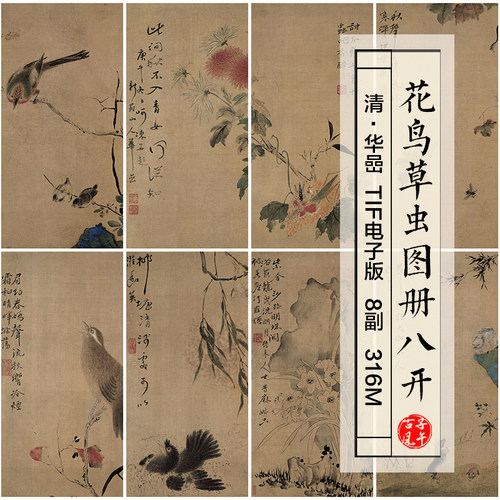 华嵒花鸟草虫图册8副清朝古代工笔绘画装饰打印 高清电子图片素材