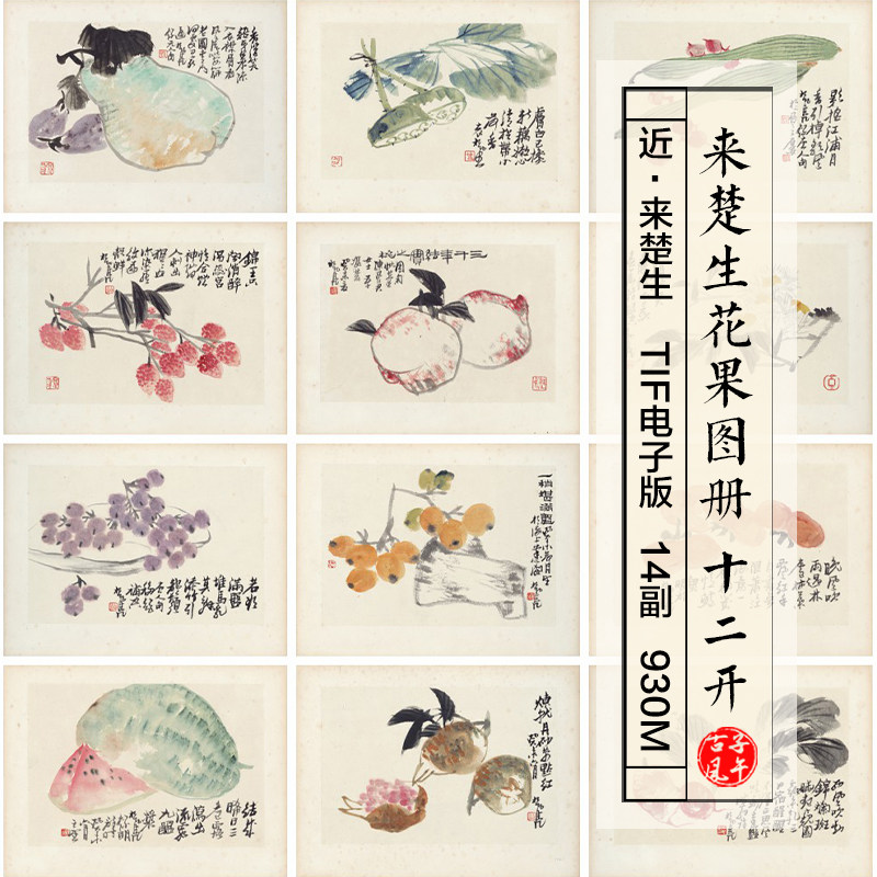 来楚生花果图册12副近现代水墨绘画打印临摹高清电子版大图片素材