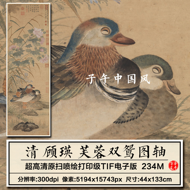顾瑛芙蓉双鸳图轴清朝古代鸳鸯花鸟绘画装饰打印高清电子图片素材