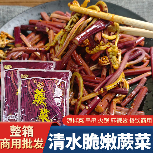 清水蕨菜龙爪菜凉拌菜商用批发
