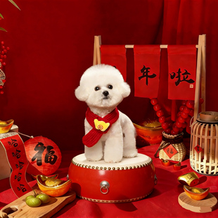 宠物摄影新年布置场景宝宝摄影道具过年啦新春儿童拍照主题道具