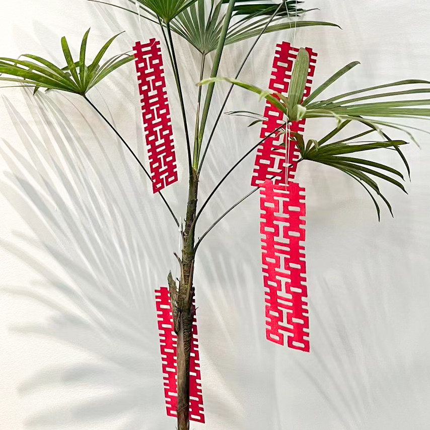 喜字挂件结婚立体灯饰婚礼婚房卧室走廊创意饰品装饰套餐婚庆用品,节庆用品/礼品,喜字/剪纸/贴纸,淘宝优惠券,粉丝福利购,淘宝优惠卷