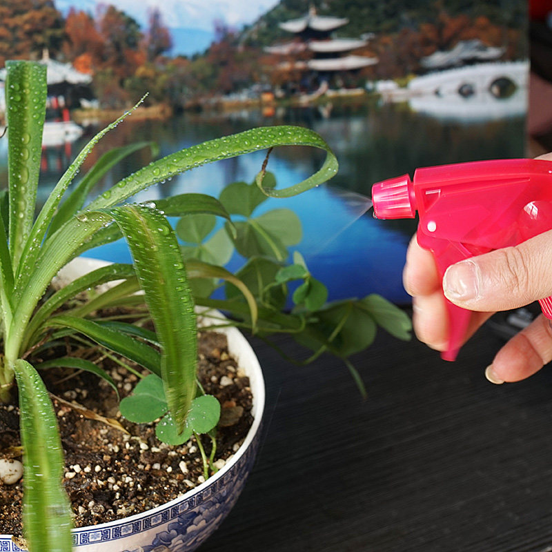 顺美桌面窗户加湿多用小型鲜花