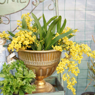 园明园艺欧式做旧复古奖杯铁艺花盆家居花园杂货搭配庭院花园花器