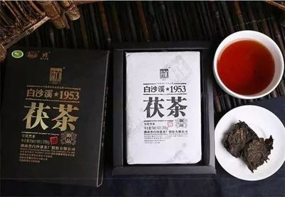 2012年湖南安化黑茶白沙溪1953世博御品茯茶精品318g