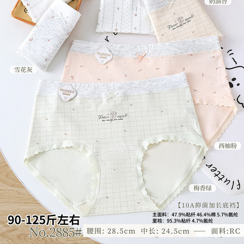 2885 丽文琪10A抑菌女三角裤 柔软舒适亲肤面料90-125斤女生内裤