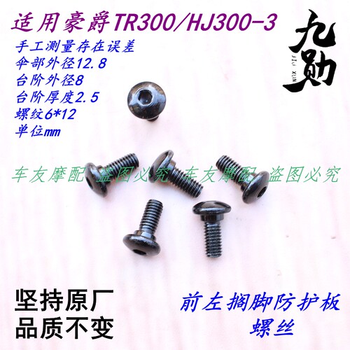 豪爵TR/hj300螺丝脚踏板螺丝螺栓