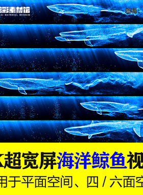 6K全息海洋鲸鱼宽屏视频背景循环视频素材演出VJ视频LED背景S359