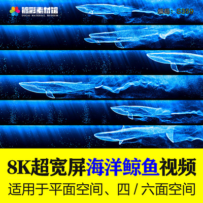 6K全息海洋鲸鱼宽屏视频背景循环视频素材演出VJ视频LED背景S359