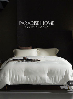 高端外贸 美国3M-Thinsulate新雪丽高效暖绒被立体厚织提花冬被