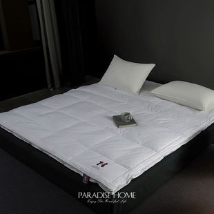 外贸出口法国图卢兹鹅绒软垫立体凌空边秋冬加厚保暖床垫床褥新品