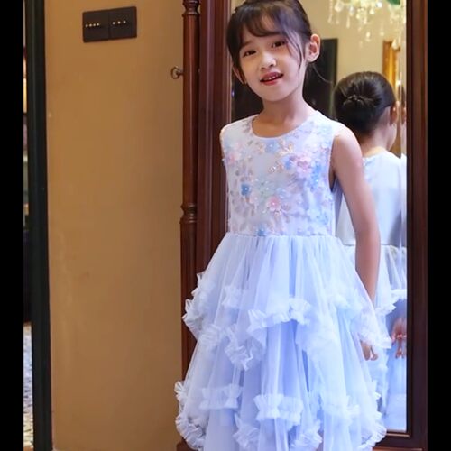 女童夏装蓬蓬裙公主裙重工绣花