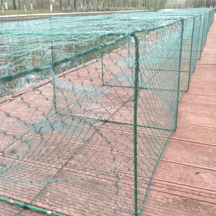 虾笼捕虾网甲鱼笼昂刺鱼笼黄辣丁笼黄骨鱼笼自动夏季抓鱼垂钓渔网