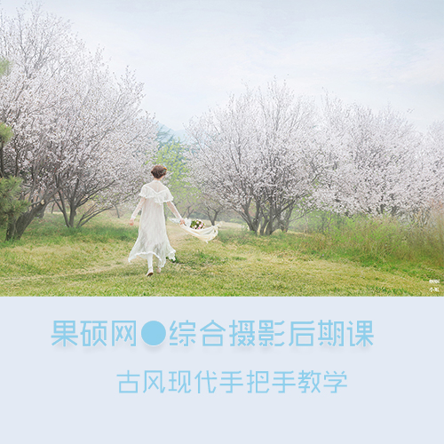 蝈蝈小姐综合摄影后期线上课（古风现代手把手作业）（购买视频）在类目 女装/女士精品, 连衣裙中 - 来自Buy2taobao.com提供专业的淘宝代购服务