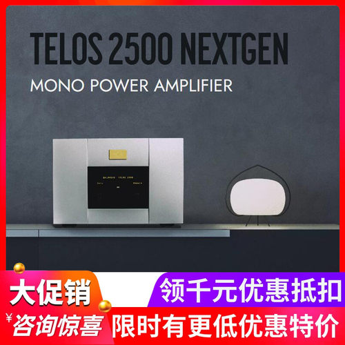 瑞士Goldund2500NG单声道功放