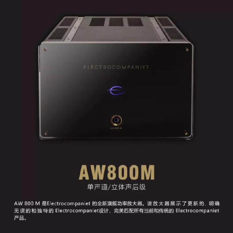 挪威 音乐之旅 AW800M 单声道/立体声后级功放大功率HiFi音响行货