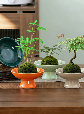 苔藓球花盆陶瓷盆托盘中式桌面摆件水培米竹苔藓球盆栽器皿盆景托
