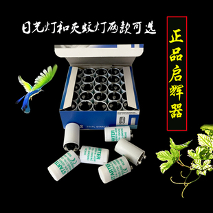 启辉器 4-40w 110V-130V 220V 灭蚊灯启动器220V日光灯跳泡起辉器