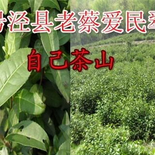 老蔡家 新茶   泾县茗茶   春尾茶 100一斤