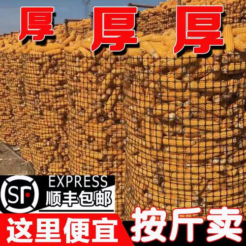 加厚圈玉米围栏网网笼塑料寿命长