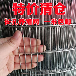 镀锌铁丝围栏网片长孔鸽子笼铁网鸡笼鸟笼兔笼钢丝网养殖加密网格
