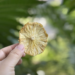 南东西 本味菠萝干 厚切更好吃 酸甜有嚼劲 配料仅菠萝 水果干