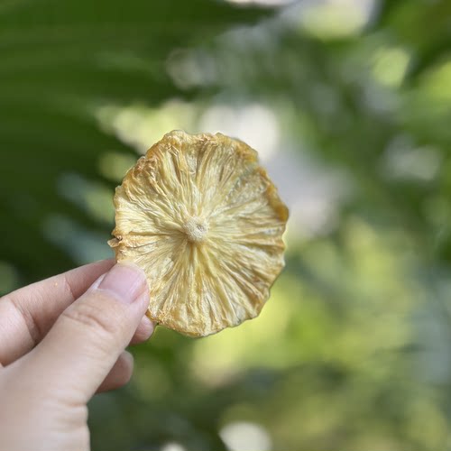 香水菠萝干原味无添加酸甜有嚼劲