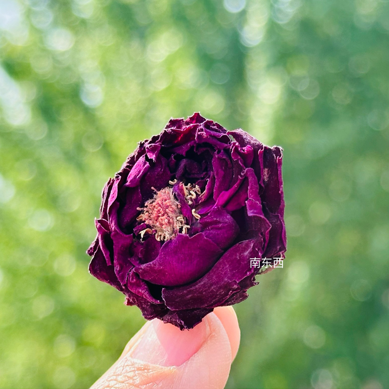 云南传统品种滇红玫瑰花冠茶