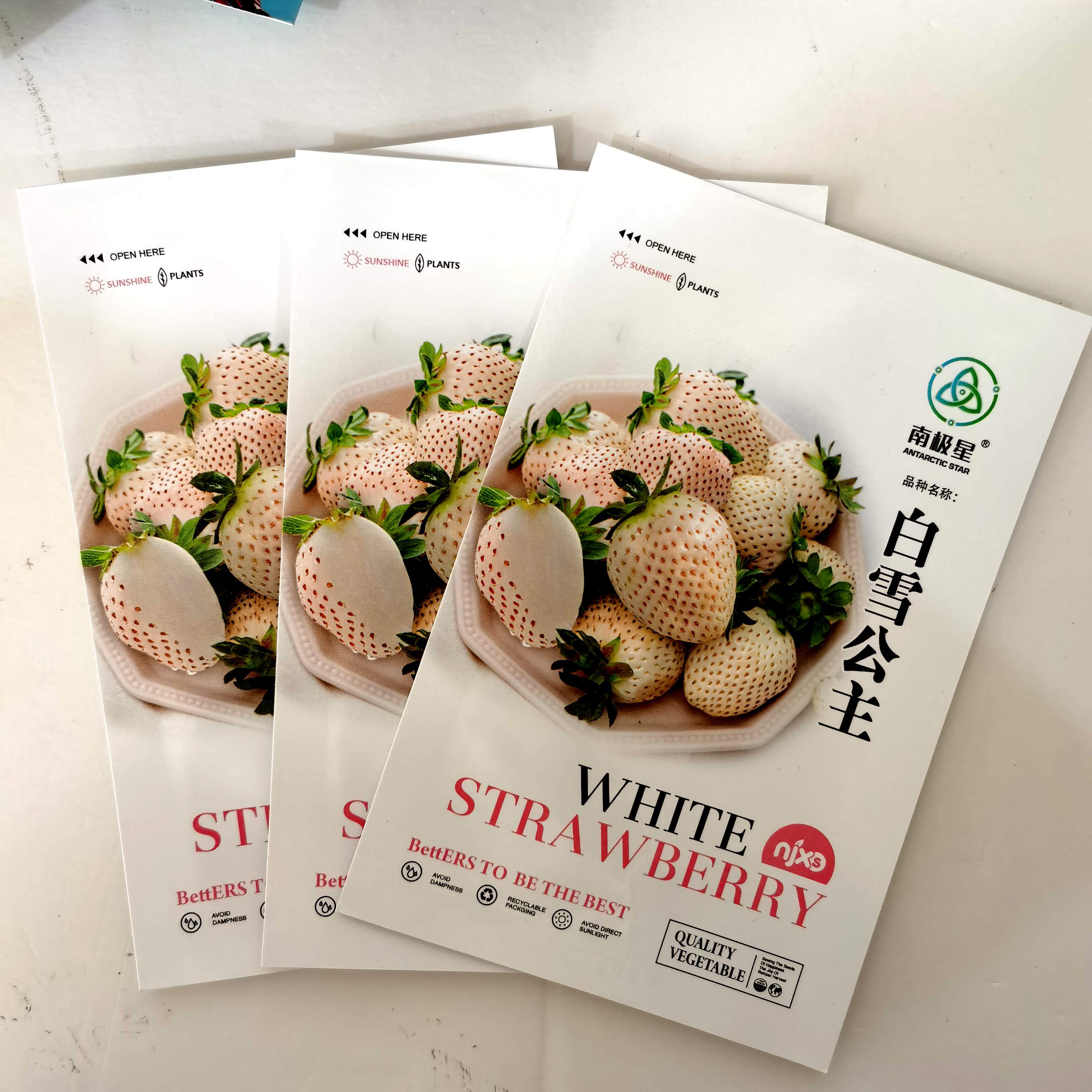 白雪公主草莓苗种子盆栽南北种植当年结果食用牛奶草莓阳台水果苗